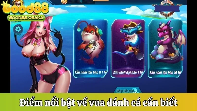 Điểm nổi bật về Vua đánh cá cần biết